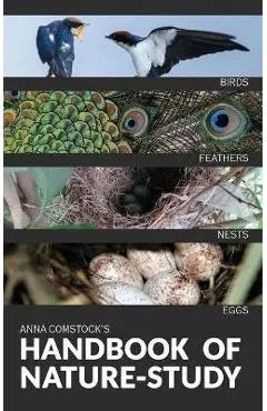 The Handbook Of Nature Study in Color - Birds - Anna B. Comstock
