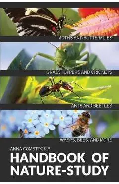 The Handbook Of Nature Study in Color - Insects - Anna B. Comstock