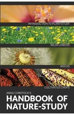 The Handbook Of Nature Study in Color - Wildflowers, Weeds & Cultivated Crops - Anna B. Comstock