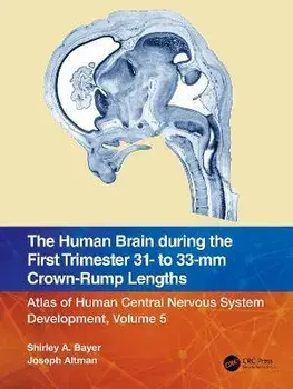 The Human Brain during the First Trimester 31- to 33-mm Crown-Rump Lengths. Atlas of Human Central Nervous System Development, Volume 5, Paperback/Joseph Altman