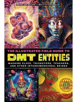 The Illustrated Field Guide to DMT Entities. Machine Elves, Tricksters, Teachers, and Other Interdimensional Beings, Paperback/Sara Phinn Huntley