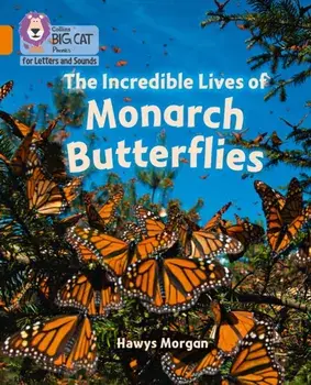 The Incredible Lives of Monarch Butterflies. Band 06/Orange, Paperback/Hawys Morgan