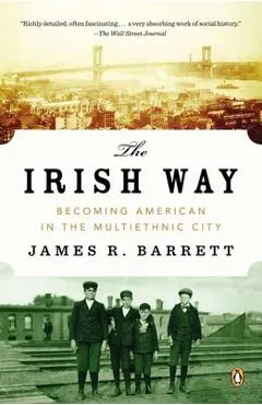 The Irish Way: Becoming American in the Multiethnic City - James R. Barrett