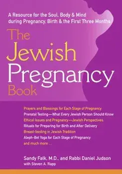 The Jewish Pregnancy Book: A Resource for the Soul, Body & Mind During Pregnancy, Birth & the First Three Months, Paperback/Sandy Falk