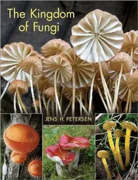The Kingdom of Fungi, Hardcover/Jens H. Petersen