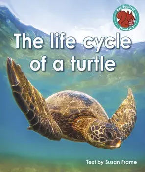 The life cycle of a turtle, Paperback/Susan Frame