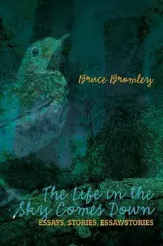The Life in the Sky Comes Down, Paperback/Dr Bromley