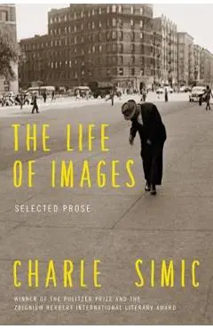 The Life of Images: Selected Prose - Charles Simic