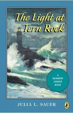 The Light at Tern Rock - Julia L. Sauer