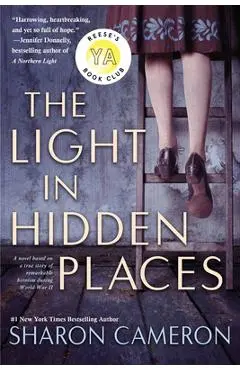 The Light in Hidden Places - Sharon Cameron