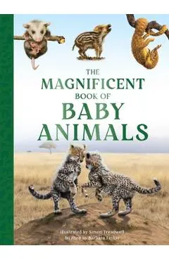 The Magnificent Book of Baby Animals - Barbara Taylor
