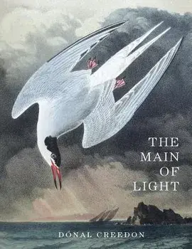 The Main of Light: Common Ground and Dividing Lines in the Teachings of Jiddu Krishnamurti and Buddhism, Paperback/Donal Creedon