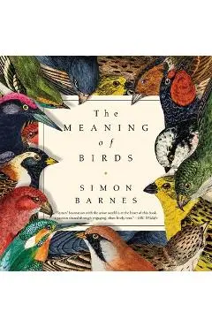 The Meaning of Birds - Simon Barnes