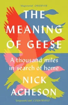 The Meaning of Geese. A Thousand Miles in Search of Home, Paperback/Nick Acheson