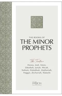 The Minor Prophets: The Twelve (the Passion Translation) - Brian Simmons