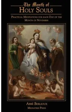 The Month of Holy Souls: Practical Meditations for Every Day of the Month of November - Abbe Berlioux