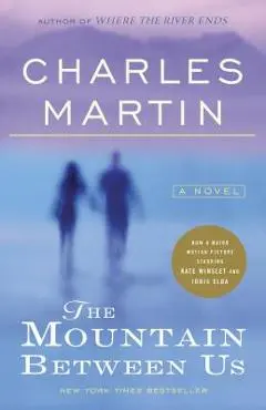 The Mountain Between Us - Charles Martin