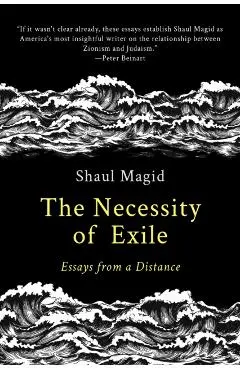 The Necessity of Exile: Essays from a Distance - Shaul Magid