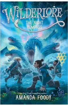 The Night Compass - Amanda Foody