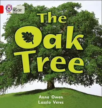 The Oak Tree, Paperback/Anna Owen
