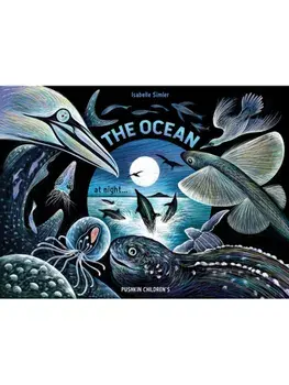 The Ocean at Night, Hardback/Isabelle Simler