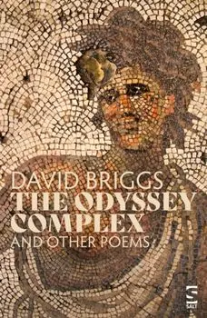 The Odyssey Complex. and Other Poems, Paperback/Mr David Briggs