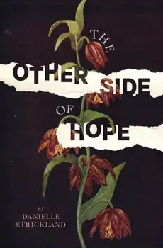 The Other Side of Hope. Flipping the Script on Cynicism and Despair and Rediscovering our Humanity, Paperback/Danielle Strickland