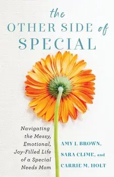 The Other Side of Special - Navigating the Messy, Emotional, Joy-Filled Life of a Special Needs Mom, Paperback/Carrie M Holt