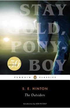 The Outsiders - S. E. Hinton