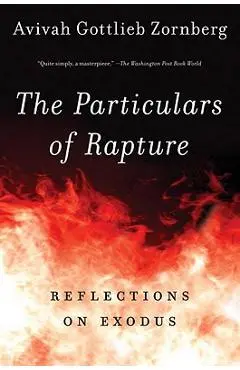The Particulars of Rapture: Reflections on Exodos - Avivah Gottlieb Zornberg