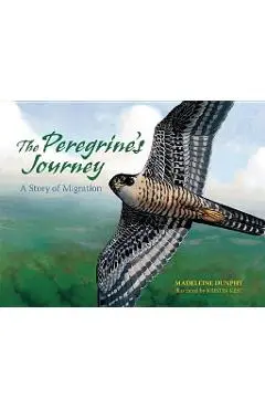 The Peregrine's Journey: A Story of Migration - Madeleine Dunphy
