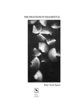 THE Phantom Fundamental, Paperback/Ruby Turok-Squire