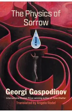 The Physics of Sorrow - Georgi Gospodinov