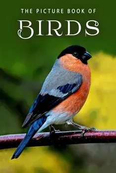 The Picture Book of Birds: A Gift Book for Alzheimer's Patients and Seniors with Dementia, Paperback/Sunny Street Books