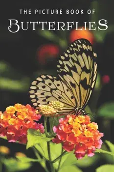 The Picture Book of Butterflies: A Gift Book for Alzheimer's Patients and Seniors with Dementia, Paperback/Sunny Street Books