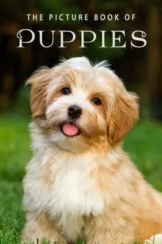 The Picture Book of Puppies: A Gift Book for Alzheimer's Patients and Seniors with Dementia, Paperback/Sunny Street Books