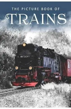 The Picture Book of Trains: A Gift Book for Alzheimer's Patients and Seniors with Dementia - Sunny Street Books