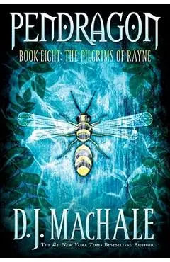 The Pilgrims of Rayne - D. J. Machale