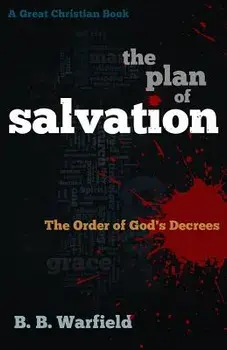 The Plan of Salvation: The order of God's decrees, Paperback/Michael Rotolo