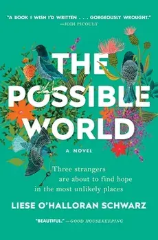 The Possible World, Paperback/Liese O. Schwarz
