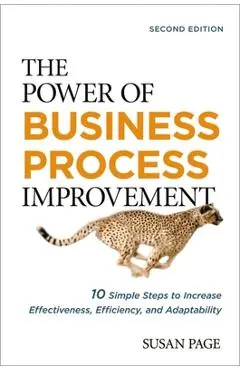 The Power of Business Process Improvement: 10 Simple Steps to Increase Effectiveness, Efficiency, and Adaptability - Susan Page
