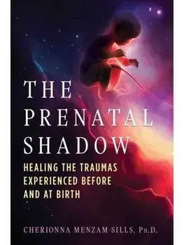 The Prenatal Shadow. Healing the Traumas Experienced before and at Birth, Paperback/Cherionna Menzam-Sills