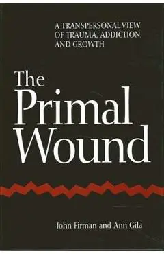 The Primal Wound: A Transpersonal View of Trauma, Addiction, and Growth - John Firman