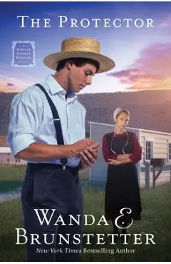 The Protector: A Mifflin County Mystery - Book 1 Volume 1 - Wanda E. Brunstetter
