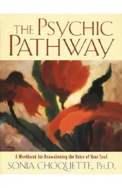 The Psychic Pathway: A Workbook for Reawakening the Voice of Your Soul - Sonia Choquette