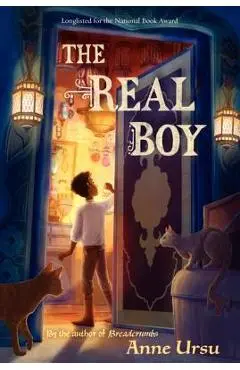 The Real Boy - Anne Ursu