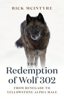 The Redemption of Wolf 302: From Renegade to Yellowstone Alpha Male, Hardcover/Rick McIntyre