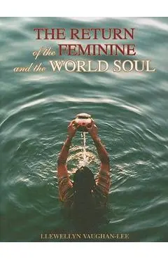 The Return of the Feminine & the World Soul - Llewellyn Vaughan-lee