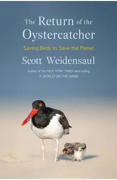 The Return of the Oystercatcher: Saving Birds to Save the Planet - Scott Weidensaul