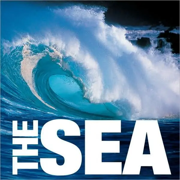 The Sea | Valeria Manferto De Fabianis